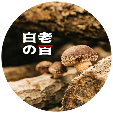 原木しいたけ