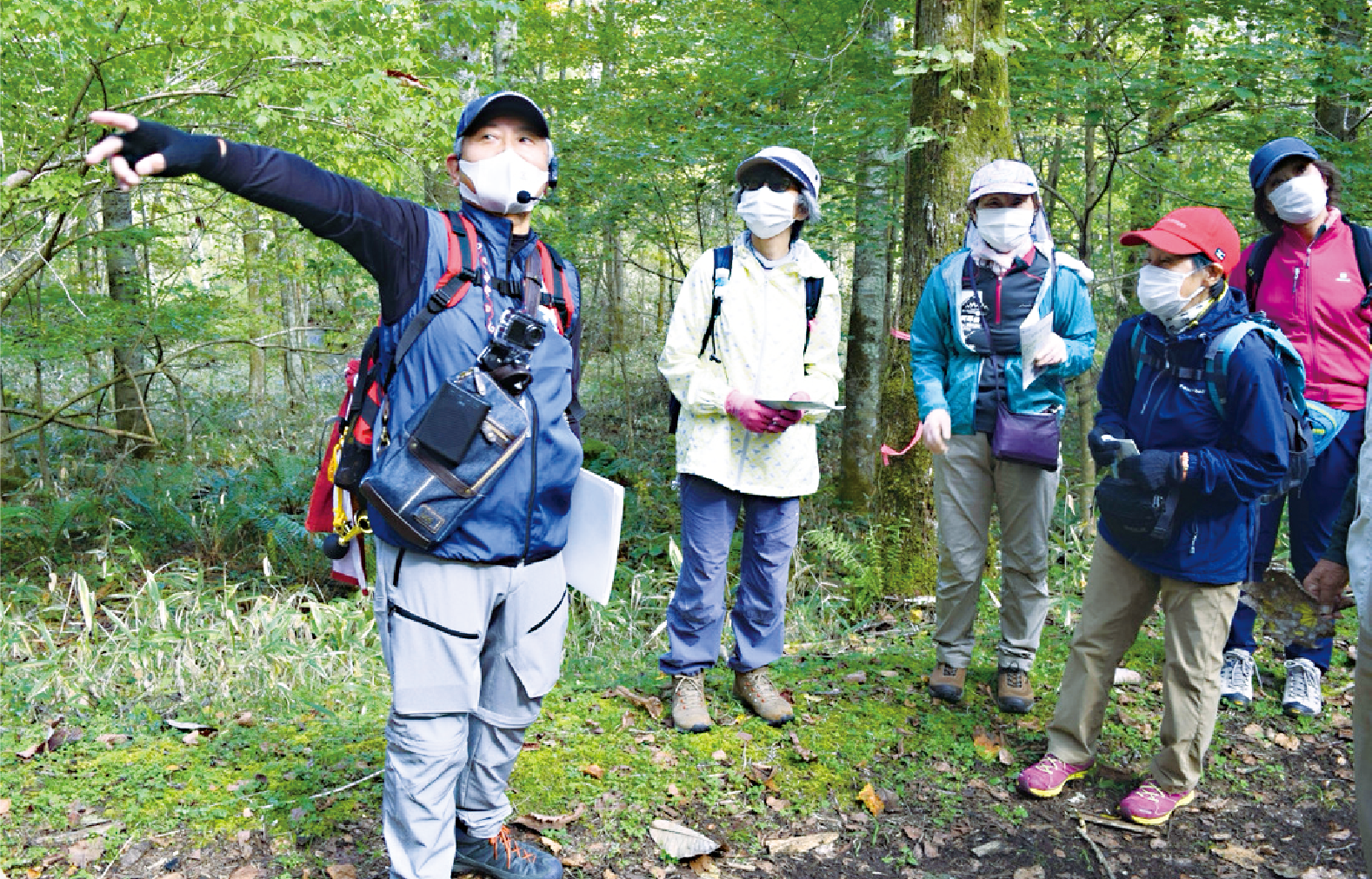 しらおいの体験ツアー