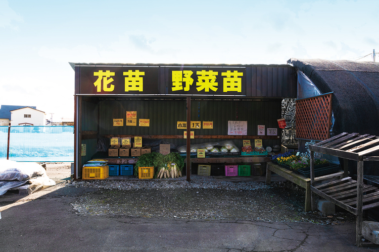 北海園芸 白老虎杖浜店