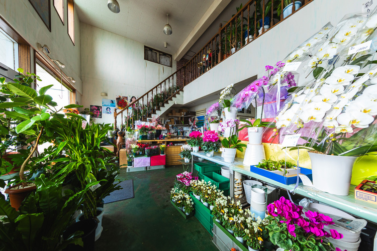 フラワーショップ大昭和園芸